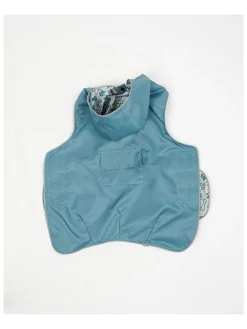 Bluza w kolorze błękitnym dla psa