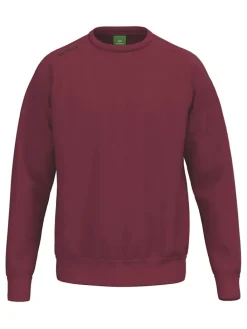 Bluza w kolorze bordowym