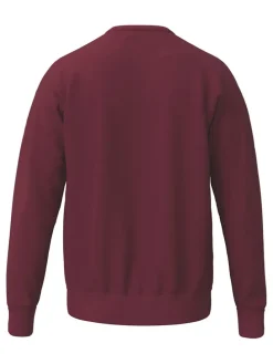 Bluza w kolorze bordowym