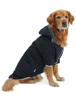 Bluza w kolorze czarnym dla psa