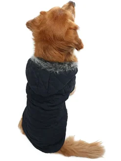 Bluza w kolorze czarnym dla psa