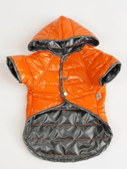 Bluza w kolorze pomarańczowym dla psa