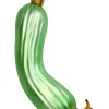 Bombka "Zuchinni" w kolorze zielonym - wys. 16, 3 cm