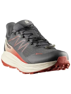 Buty "ALPHARIDE 2 GORE-TEX" w kolorze antracytowym do biegania