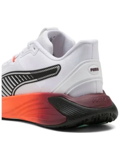 Buty sportowe 
