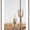 Druk artystyczny "Cactus in Arizona" w ramce - 70 x 50 cm