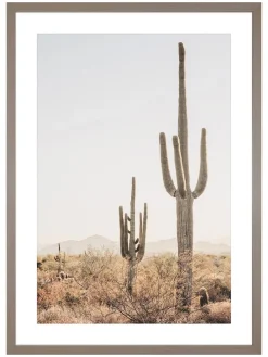 Druk artystyczny "Cactus in Arizona" w ramce - 70 x 50 cm