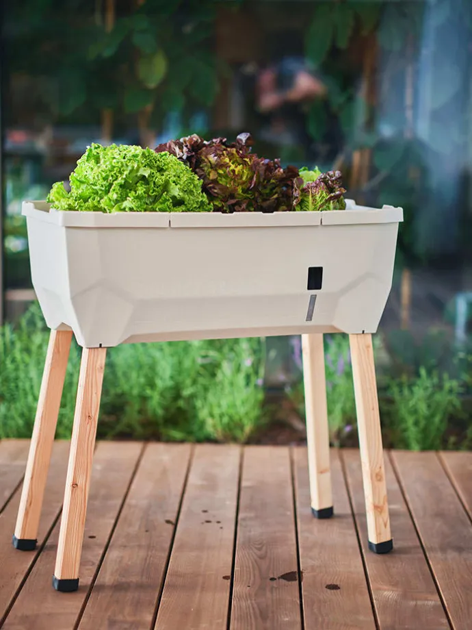 Grządka "Sammy Salad" w kolorze białym na podwyższeniu - 79 x 95 x 37,5 cm