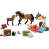 Kalendarz adwentowy "Horse Club" - 5+