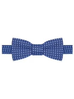 Muszka w kolorze niebieskim