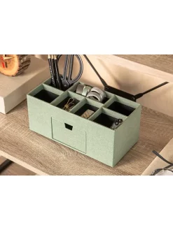 Organizer 