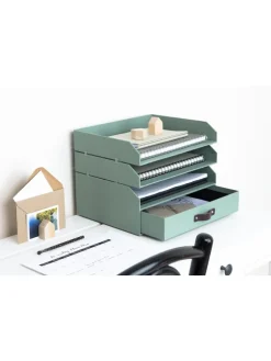 Organizer 