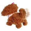 Pies "ChiChi Love Tea Cup Poodle Puppy" - 3+