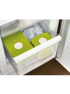 Pojemnik w kolorze zielonym - 1 l