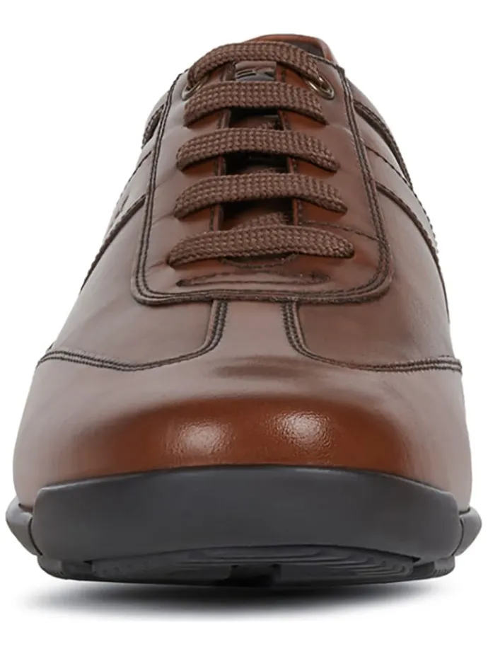 Skórzane sneakersy "Edgware" w kolorze brązowym