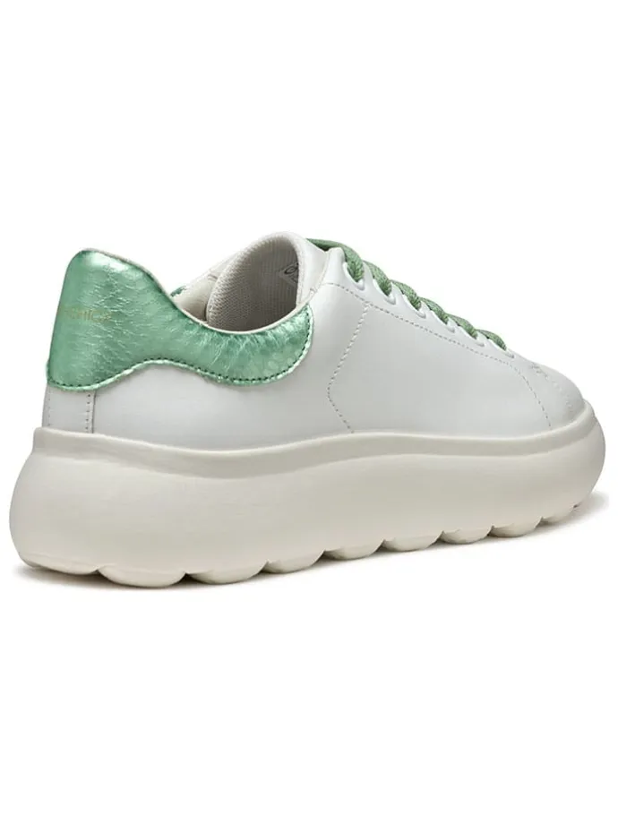 Skórzane sneakersy "Spherica EC4" w kolorze biało-zielonym