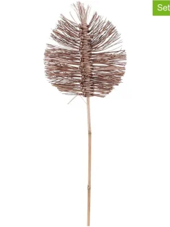 Suszone gałązki (2 szt.) "Koffi" w kolorze jasnobrązowym - dł. 75 cm