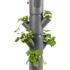 System sadzenia "Sissi Strawberry Starter" w kolorze szarym - wys. 77 cm