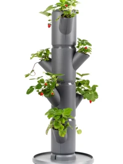 System sadzenia "Sissi Strawberry Starter" w kolorze szarym - wys. 77 cm