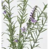 Sztuczna gałązka "Lavender Lally" w kolorze zielono-fioletowym - dł. 78 cm