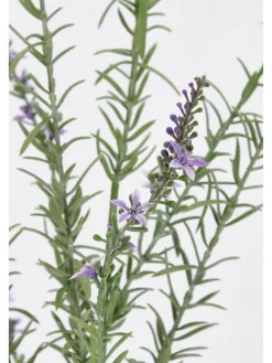 Sztuczna gałązka "Lavender Lally" w kolorze zielono-fioletowym - dł. 78 cm
