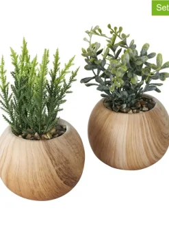Sztuczne rośliny (2 szt.) w kolorze jasnobrązowo-zielonym - wys. 18 cm