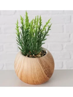 Sztuczne rośliny (2 szt.) w kolorze jasnobrązowo-zielonym - wys. 18 cm