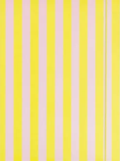 Teczka "Neon Stripes" - 5+
