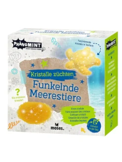 Zestaw do eksperymentowania - 8+ (produkt niespodzianka)