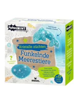 Zestaw do eksperymentowania - 8+ (produkt niespodzianka)