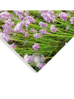 Zewnętrzny druk artystyczny "Sunset Lavender Field"